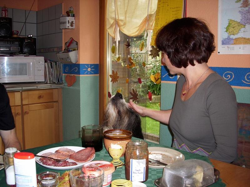 Lucky beim Fruehstueck.jpg